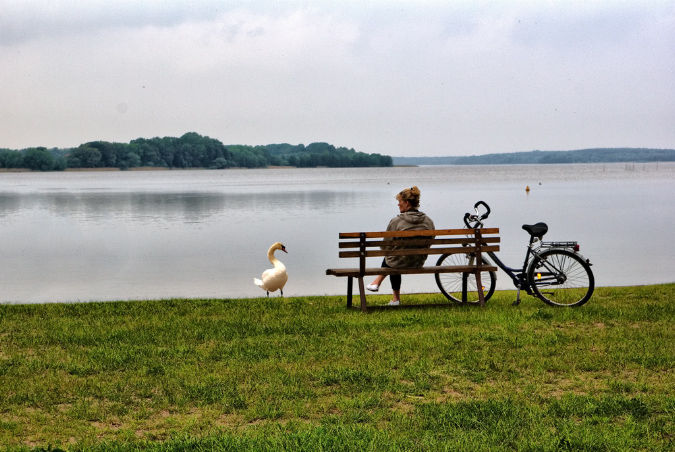 frau%20mit%20schwan_2