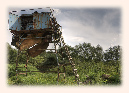 alte%20technik%20in%20koelzin