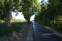 neuer%20radweg